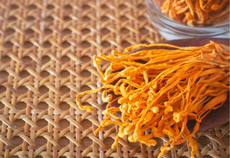 Nên lựa chọn loại dược liệu nào?