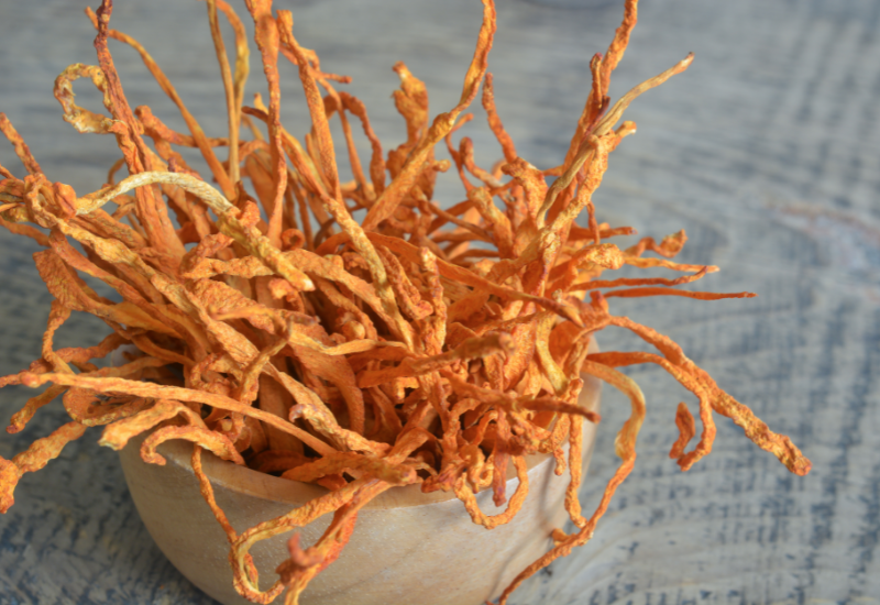 Nguồn gốc và điều kiện sinh trưởng