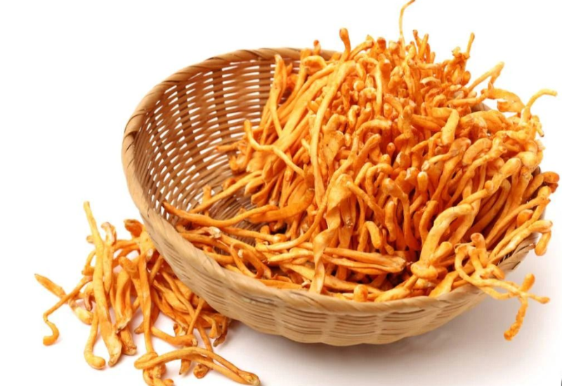 Liều lượng sử dụng Đông trùng hạ thảo