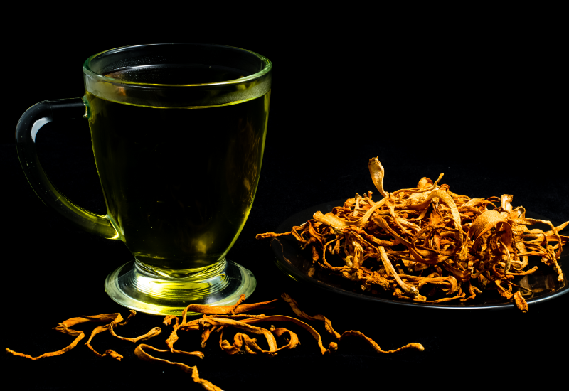 Thành phần hoạt chất sinh học chủ yếu