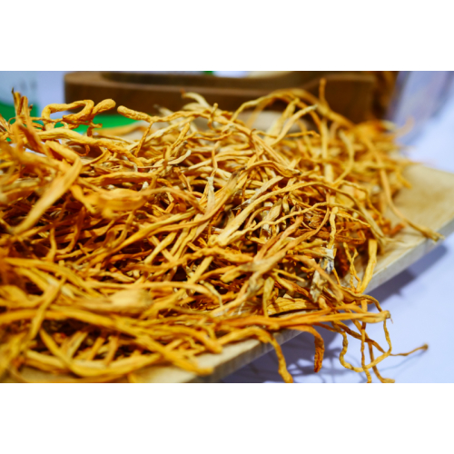 Các dạng Đông trùng hạ thảo phổ biến hiện nay