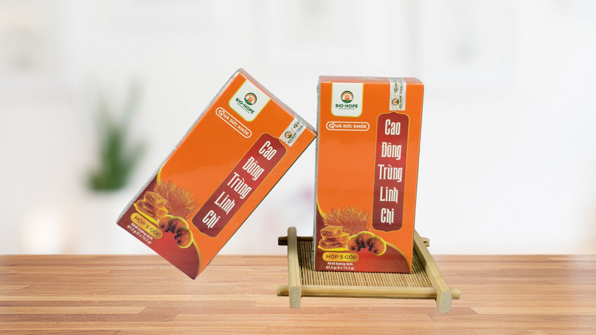 Tác dụng chống lão hóa và làm đẹp da của linh chi