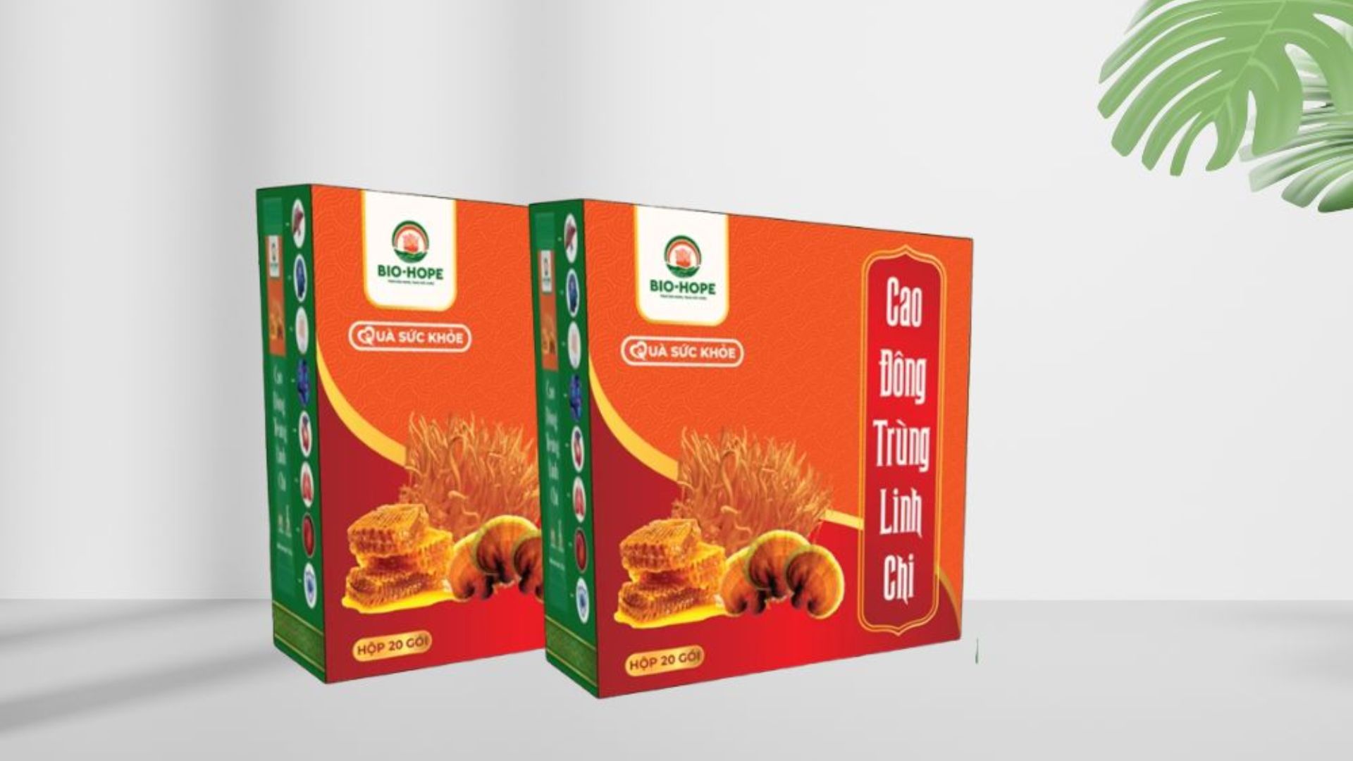 Công dụng giải độc và thanh lọc cơ thể của nấm linh chi