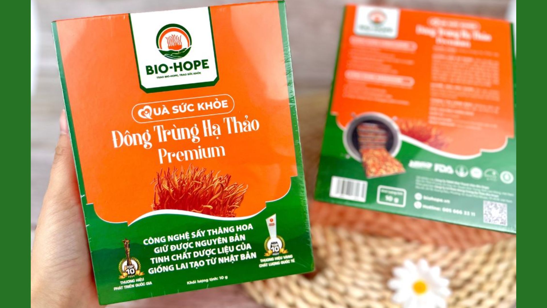 Công dụng của đông trùng hạ thảo đối với sức khỏe