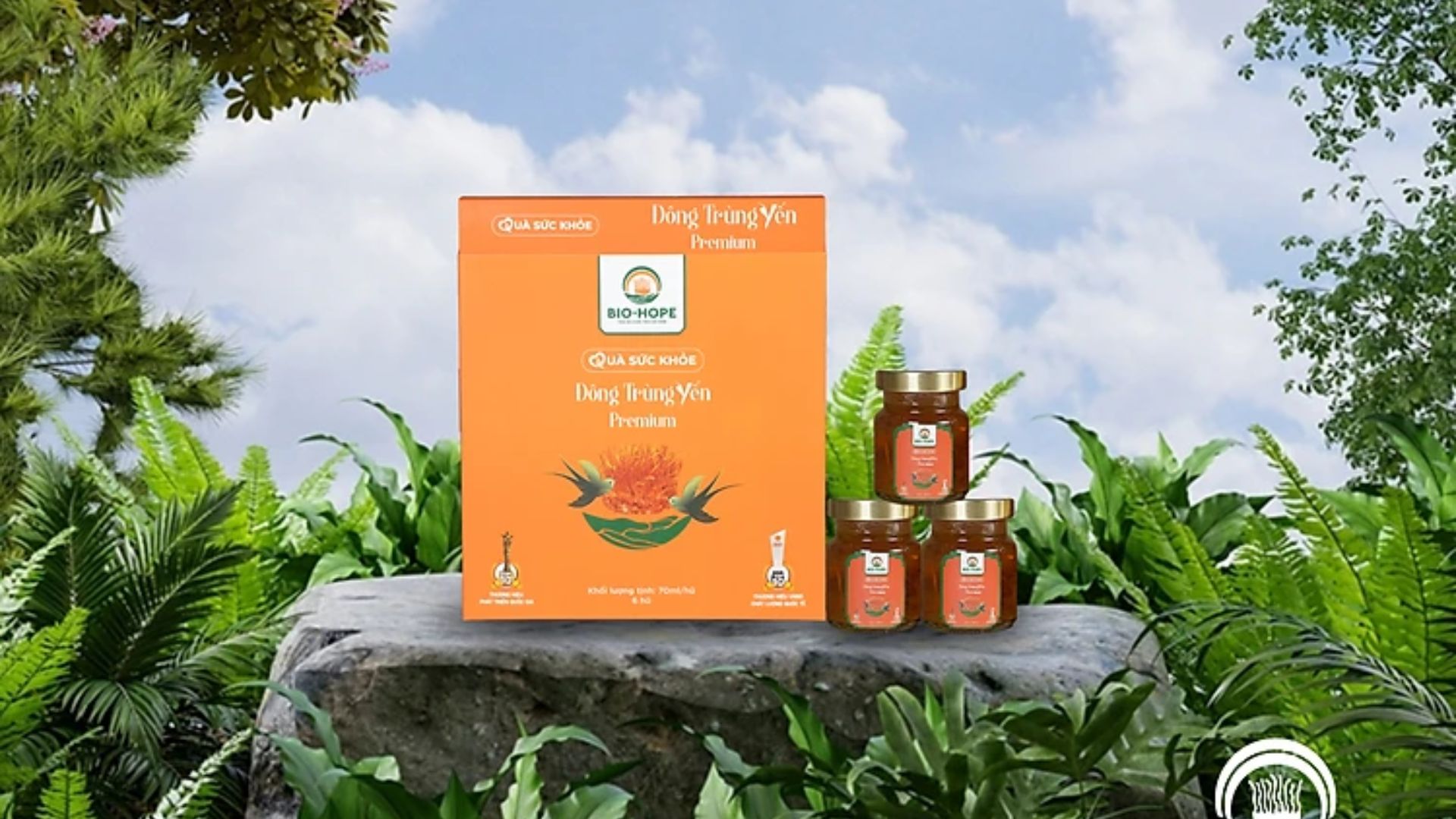 Tại sao yến sào giúp tăng cường hệ miễn dịch?