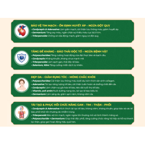 II. Lợi ích tuyệt vời của bộ liệu trình