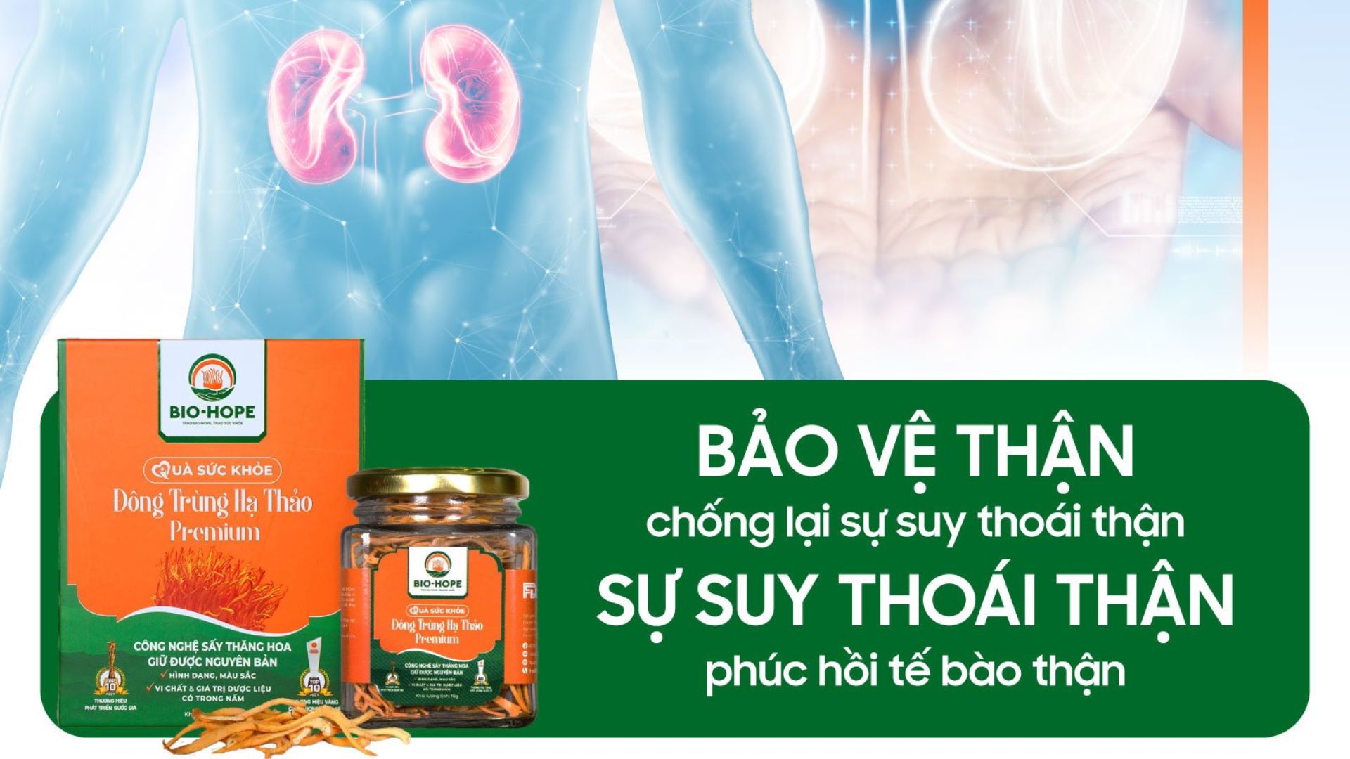 Công dụng của đông trùng hạ thảo: giảm đau lưng, mỏi gối, ngủ ngon tự nhiên