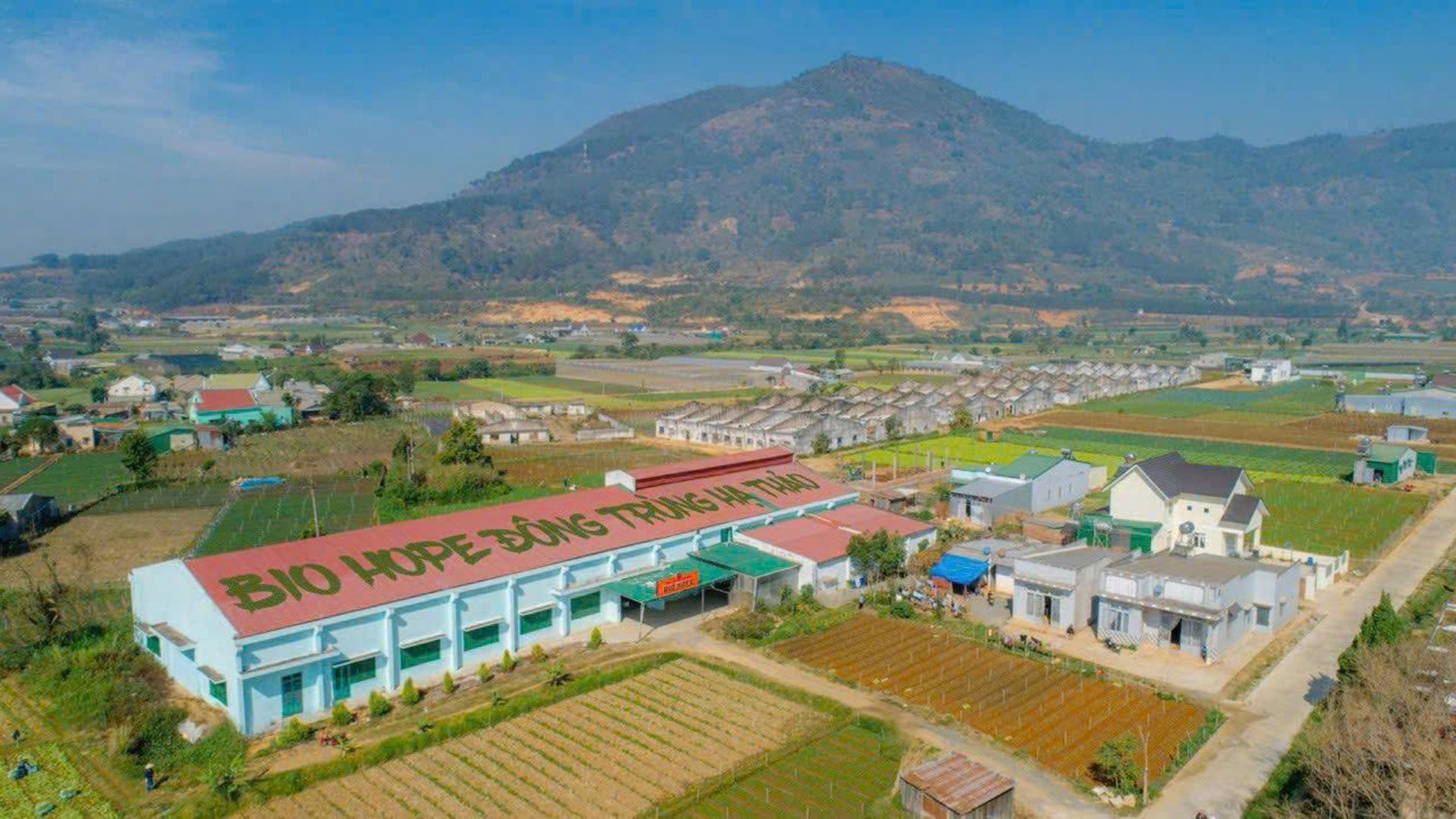 3. Điều kiện nuôi trồng – Yếu tố quyết định sự tinh khiết