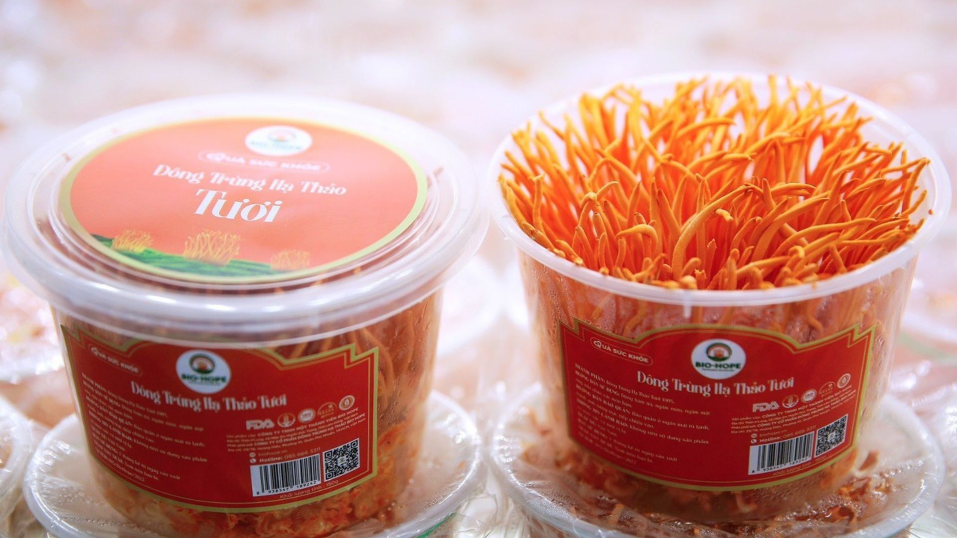 2. “Thần dược” bảo vệ sức khỏe toàn diện