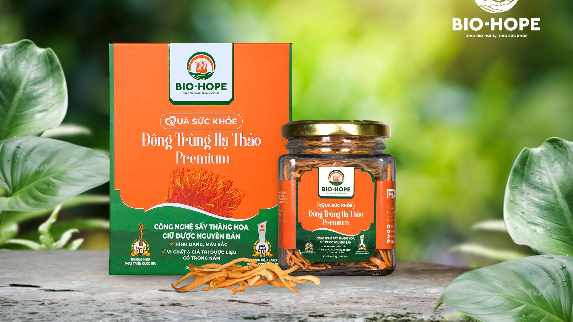 1. “Kho báu” dưỡng chất quý giá trong từng sợi Đông trùng hạ thảo