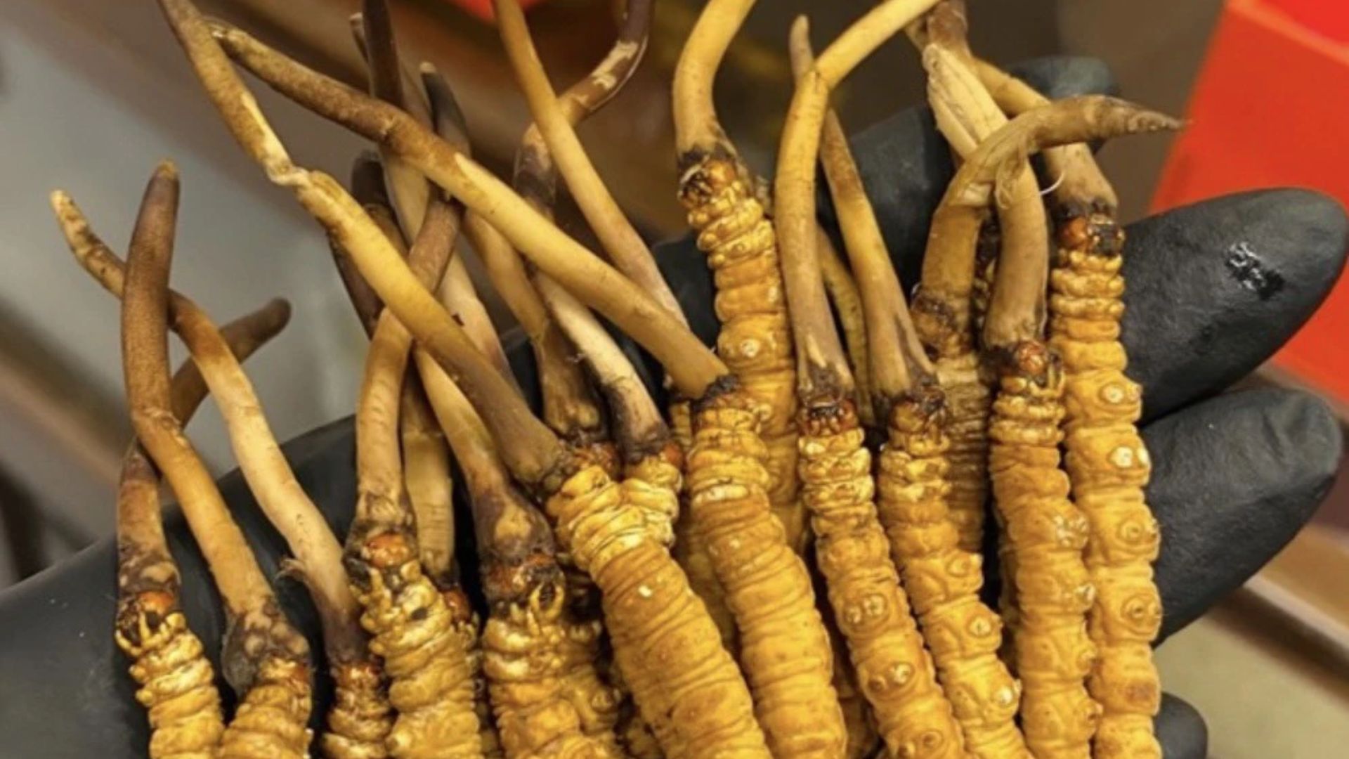 3. Vitamin – Bí quyết trẻ hóa và duy trì sức sống