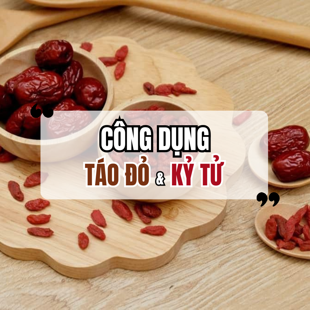 Công Dụng Của Táo Đỏ Và Kỷ Tử Đối Với Phụ Nữ