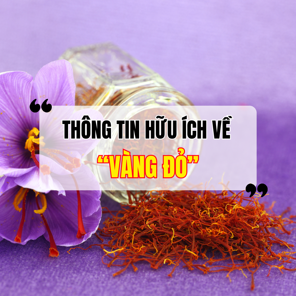 Saffron - "Vàng Đỏ" Đối Với Sức Khỏe Và Sắc Đẹp