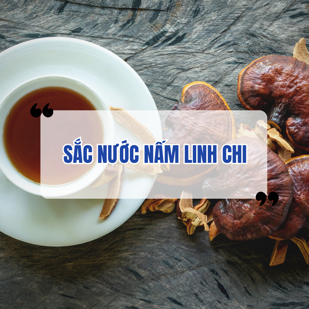 Cách Sắc Nước Nấm Linh Chi Để Uống Đúng Cách
