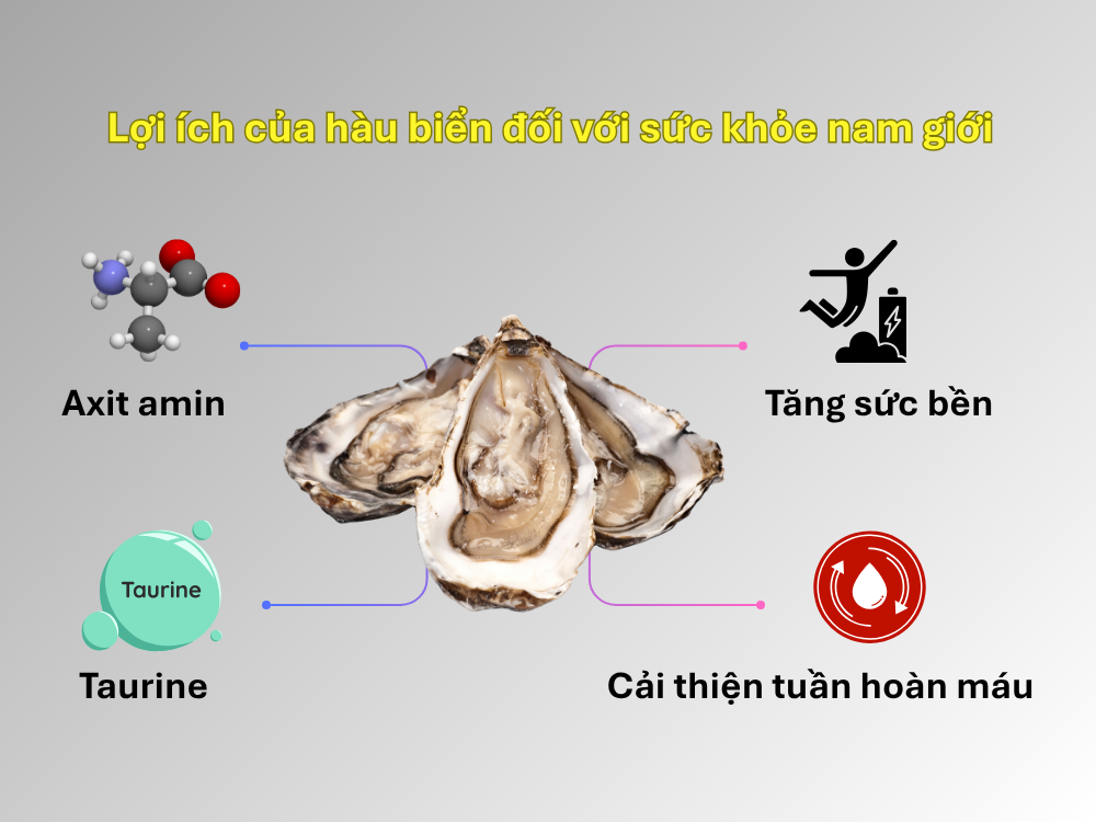 2. Kết hợp axit amin và taurine – tăng sức bền, cải thiện tuần hoàn
