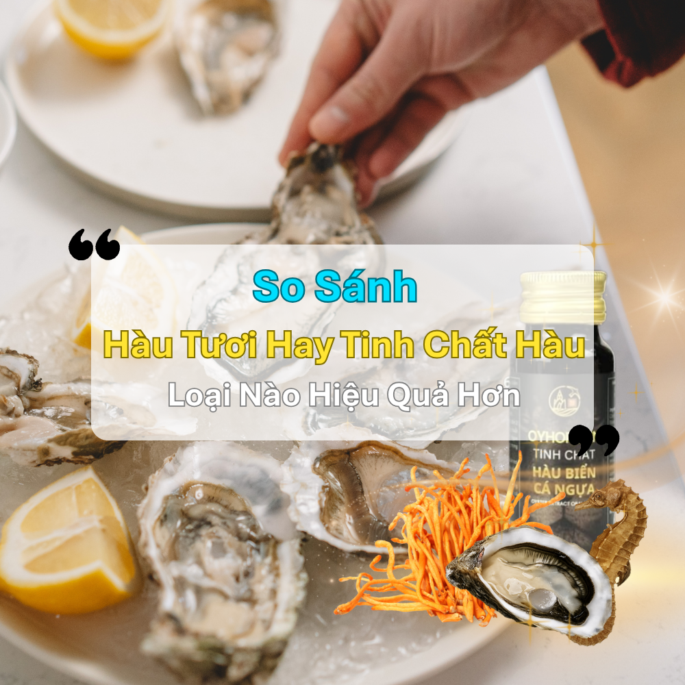 So Sánh: Hàu Tươi Hay Tinh Chất Hàu – Loại Nào Hiệu Quả Hơn
