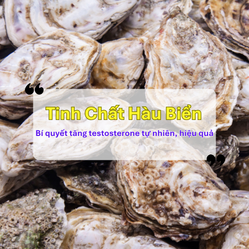 Tinh Chất Hàu Biển Giúp Tăng Testosterone Tự Nhiên An Toàn