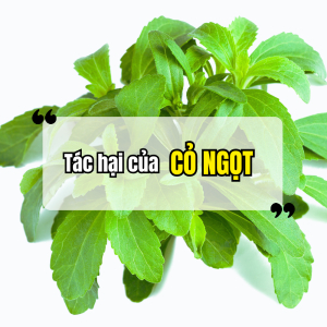 Tác Hại Của Cỏ Ngọt Nếu Sử Dụng Sai Cách