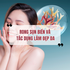Rong Sụn Biển Và Tác Dụng Làm Đẹp Da