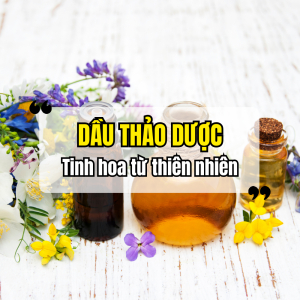 Dầu Thảo Dược Là Gì? Lợi Ích Của Dầu Thảo Dược