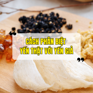 Cách Phân Biệt Yến Thật Với Yến Giả