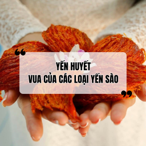 Yến Huyết - Vua Của Các Loại Yến Sào