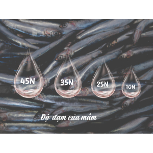 Độ đạm trong nước mắm là gì?