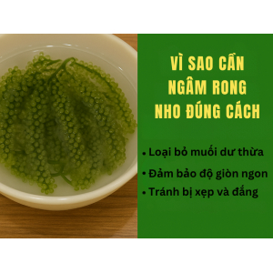 1. Vì sao cần ngâm rong nho đúng cách?