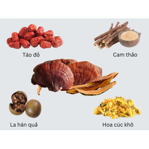 Cách nấu nước nấm linh chi bằng việc hãm trà