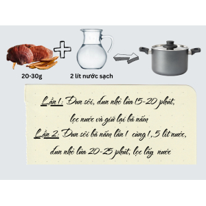 Cách nấu nước nấm linh chi uống hàng ngày