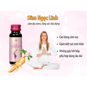 III. Sâm Ngọc Linh – điều hòa stress và chống suy nhược từ gốc