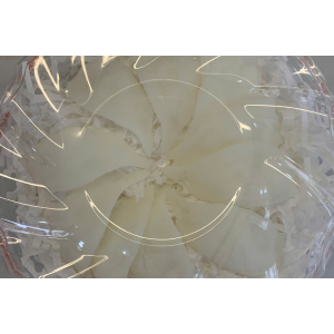 Nguồn gốc của yến sào