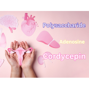 Trước khi mang thai