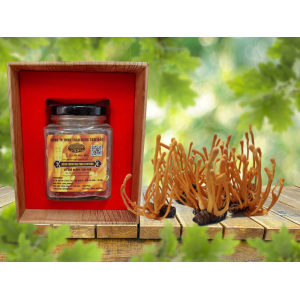 I. Giới thiệu đông trùng hạ thảo ký chủ nhộng tằm khô