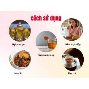 II. Cách sử dụng đông trùng hạ thảo ký chủ nhộng tằm hiệu quả nhất