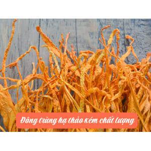 Tác hại khi sử dụng Đông Trùng Hạ Thảo giả