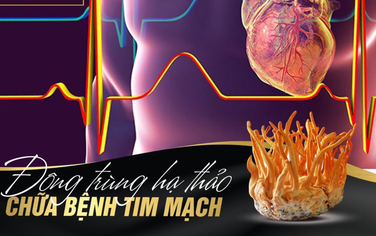 Cải thiện các triệu chứng của bệnh tim mạch phái mạnh