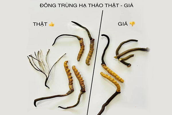 Quan sát kỹ lưỡng