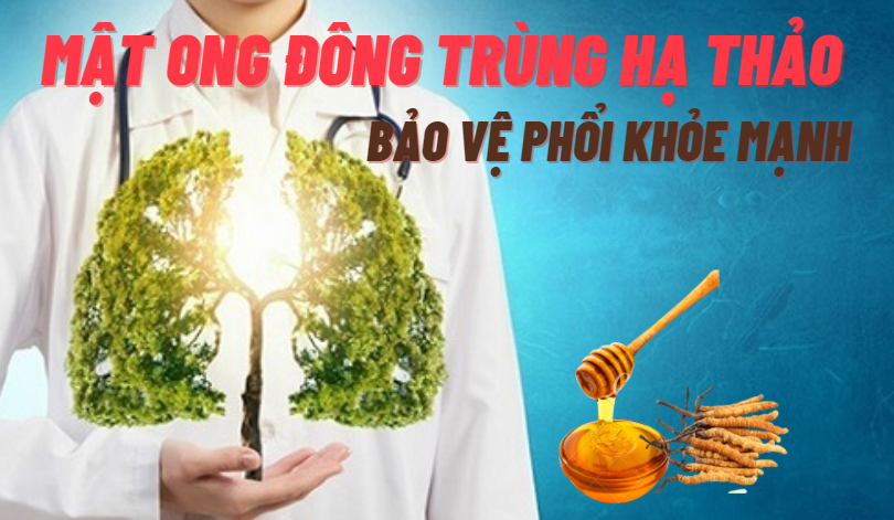 Mật ong đông trùng hạ thảo giúp tăng cường sức khỏe đường hô hấp