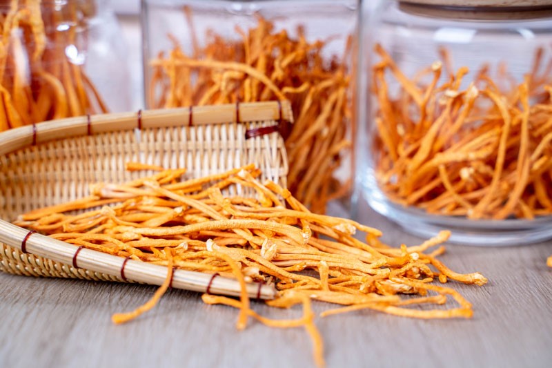 Nấm đông trùng hạ thảo quả thể sấy khô là gì?