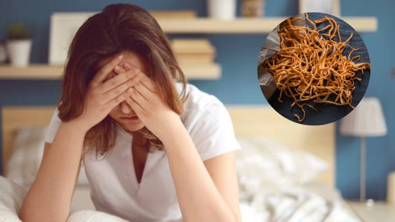 Giảm stress, chống mệt mỏi