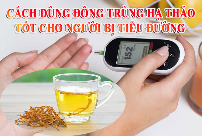 Cân bằng và ổn định đường huyết