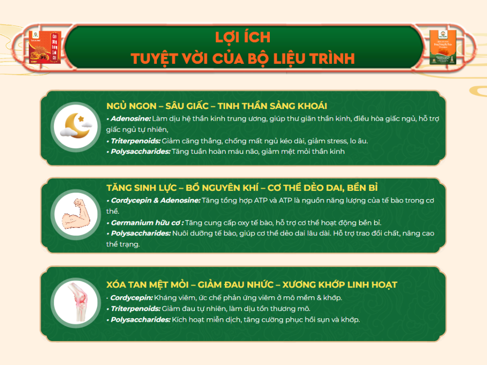 II. Lợi ích tuyệt vời của bộ liệu trình