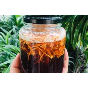 Mật ong đông trùng hạ thảo là gì?