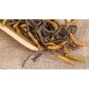 Cách phân biệt đông trùng hạ thảo đơn giản