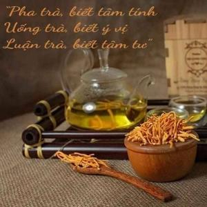 Pha trà đông trùng hạ thảo