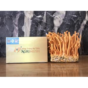 Thành phần dinh dưỡng của đông trùng hạ thảo