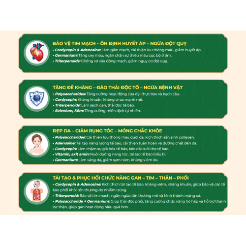 II. Lợi ích tuyệt vời của bộ liệu trình