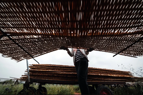 Nghề làm hủ tiếu - cái hồn của Sa Đéc