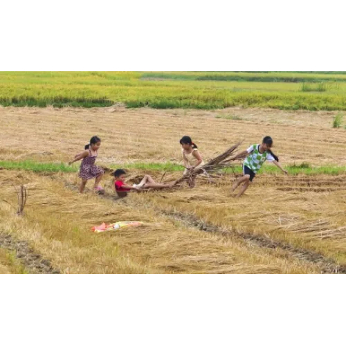 Món ngon dân dã, hồn quê không đổi